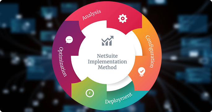 NetSuite Customization